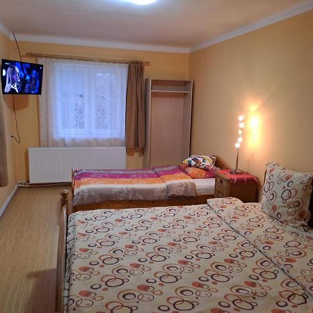 Casa Argentina Villa Cîrţişoara Dış mekan fotoğraf