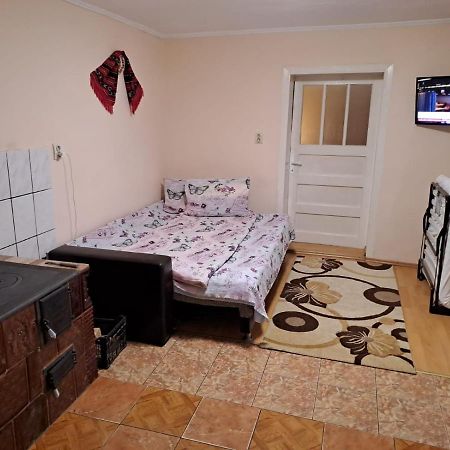 Casa Argentina Villa Cîrţişoara Dış mekan fotoğraf