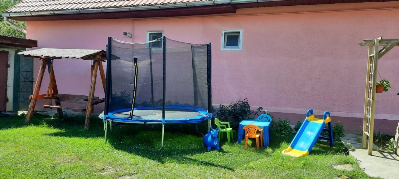 Casa Argentina Villa Cîrţişoara Dış mekan fotoğraf