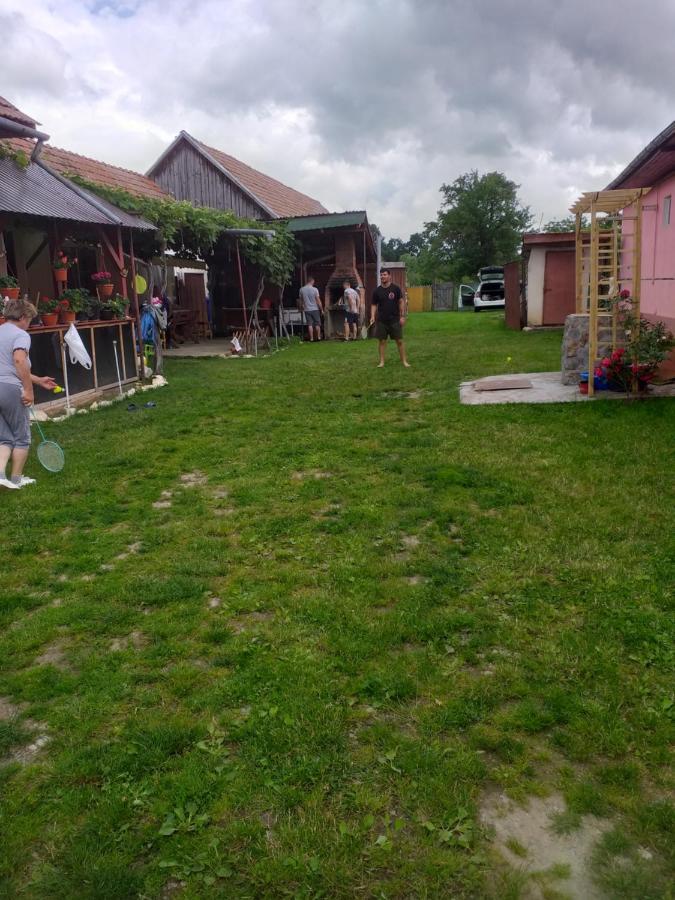 Casa Argentina Villa Cîrţişoara Dış mekan fotoğraf