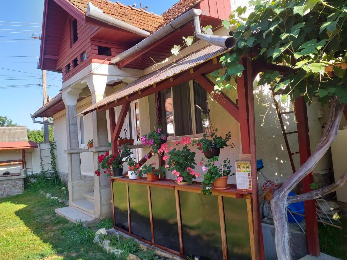 Casa Argentina Villa Cîrţişoara Dış mekan fotoğraf