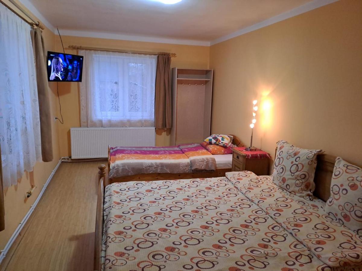 Casa Argentina Villa Cîrţişoara Dış mekan fotoğraf