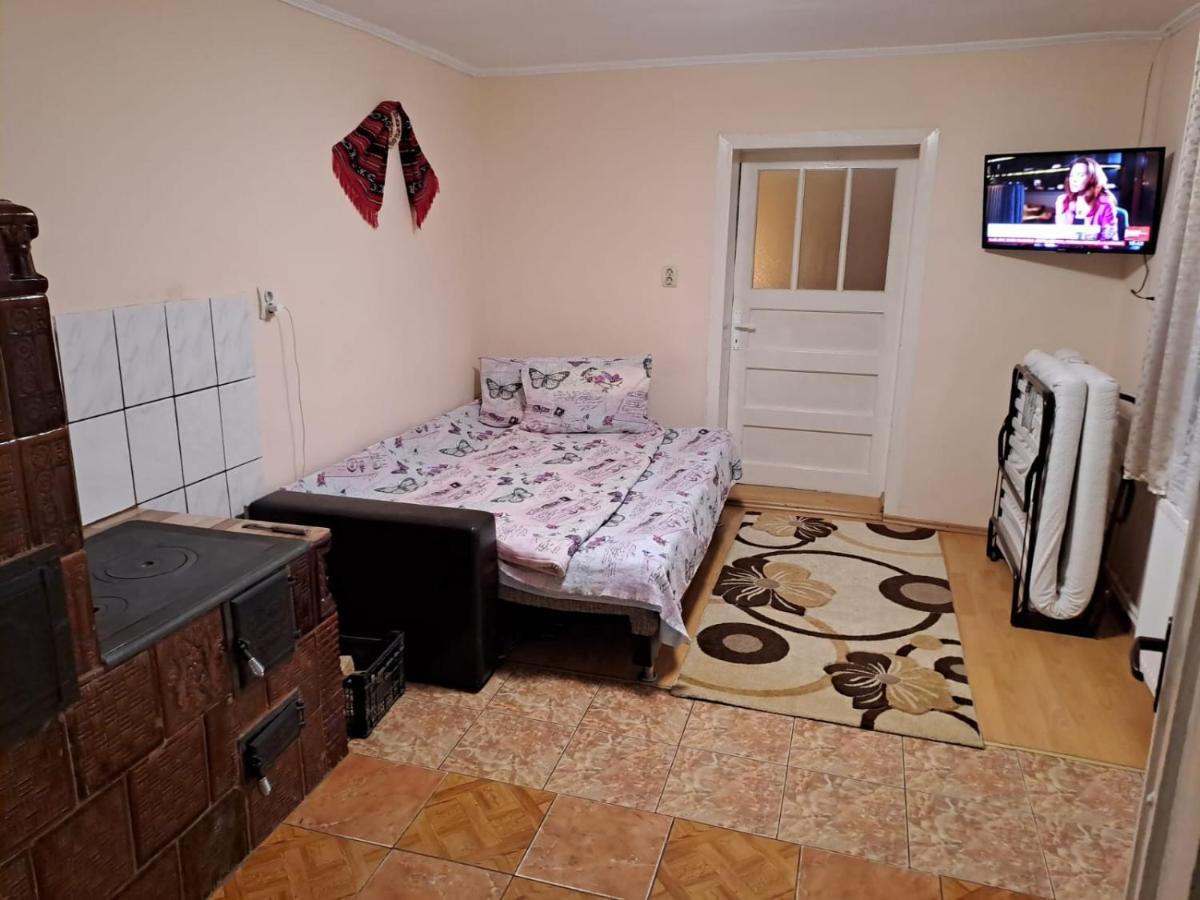 Casa Argentina Villa Cîrţişoara Dış mekan fotoğraf