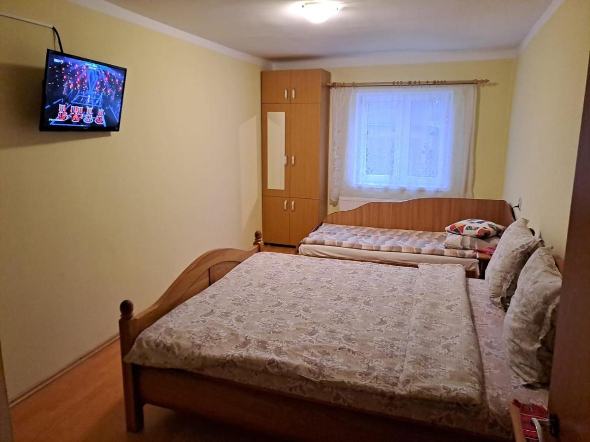 Casa Argentina Villa Cîrţişoara Dış mekan fotoğraf