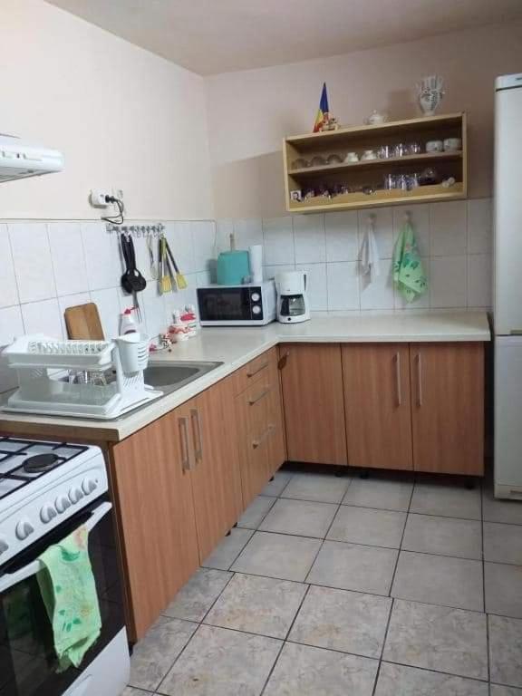 Casa Argentina Villa Cîrţişoara Dış mekan fotoğraf