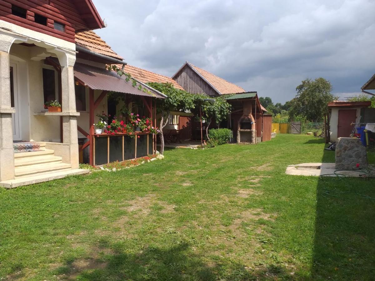 Casa Argentina Villa Cîrţişoara Dış mekan fotoğraf